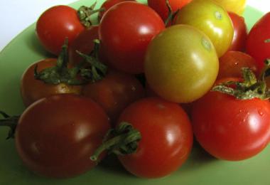 Дозаривание томатов помидор